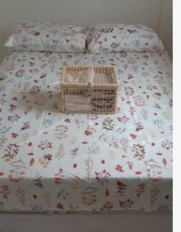 Apartamento Vila Aconchego Salmao Salvador Exteriör bild